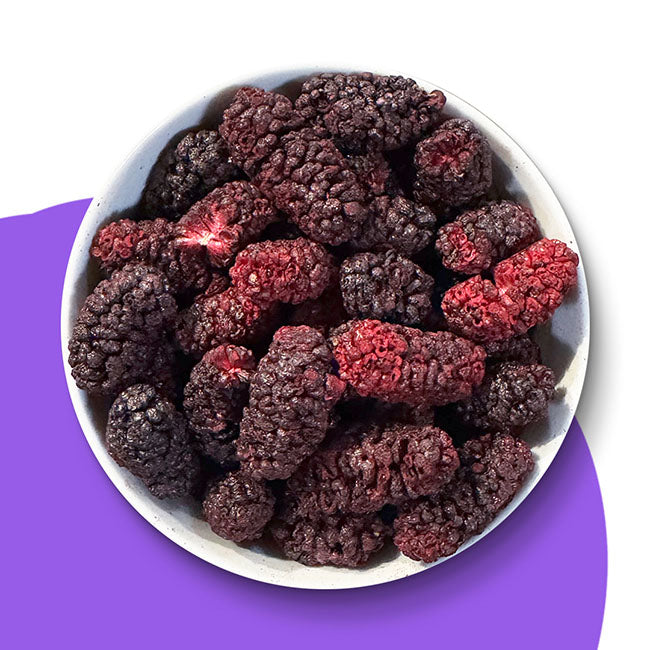 Gefriergetrocknete-schwarze-Maulbeeren-Schale