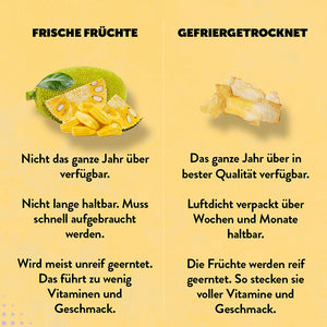 Gefriergetrocknete-Jackfrucht-Frisch-vergleich-getrocknet
