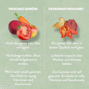 Gemüse-mix-Apfel-Frisch-vergleich-gefriergetrocknet