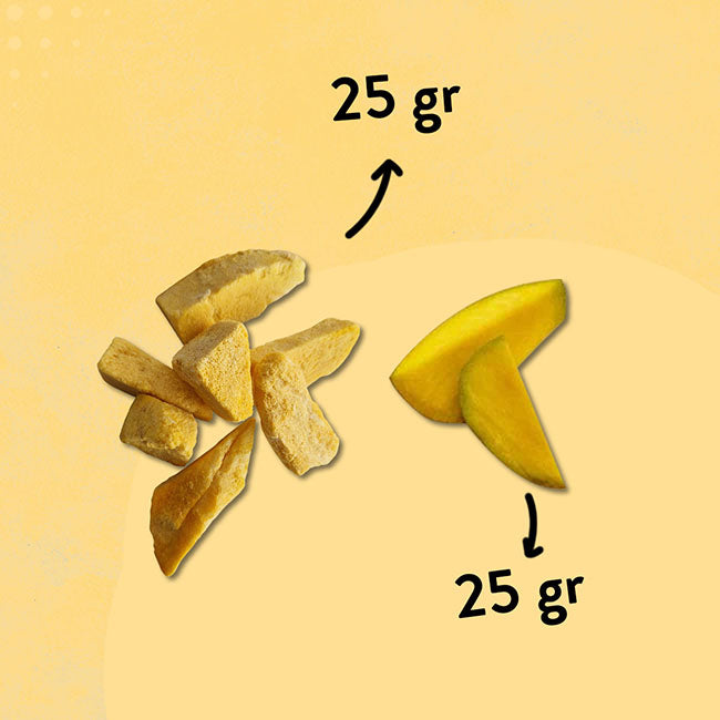 Gefriergetrocknete-Mango-Frisch-und-Gefriergetrocknet