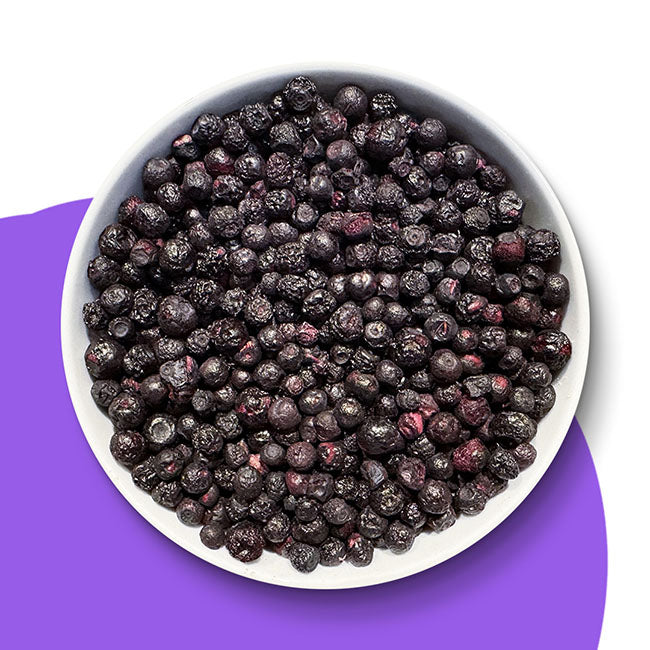Gefriergetrocknete-wilde-Heidelbeeren-in-der-Schale