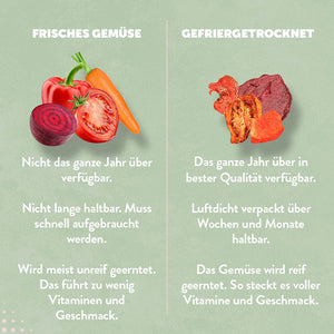 Gemüsemix-gefriergetrocknet-vergleich-frisch
