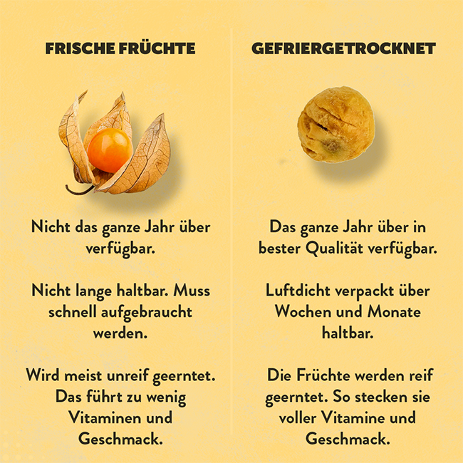 frisch-physalis-gefriergetrocknet