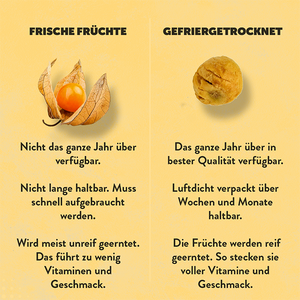 frisch-physalis-gefriergetrocknet