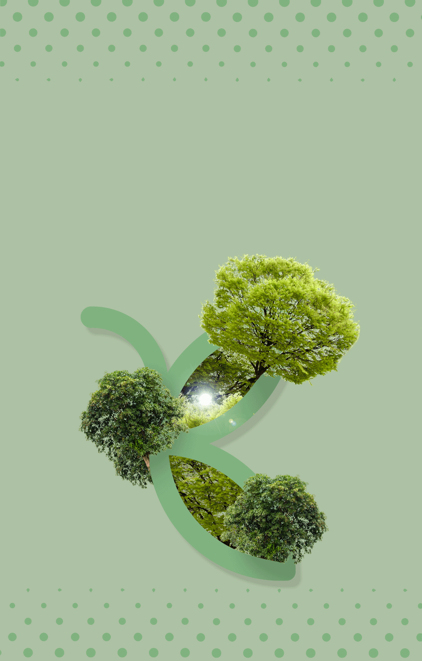 Kultsnack-und-Nachhaltigkeit